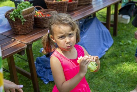 Dni Wisły, dzień trzeci